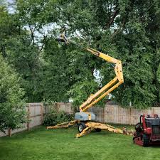 Trusted Lafourche Crossing, LA Tree Care Experts